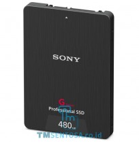 480GB G series Professional SSD -SV-GS48 